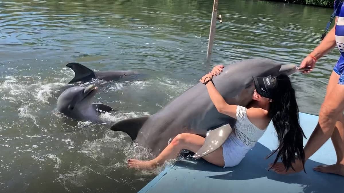 Shocking Moment Woman Is Unexpectedly Humped By A Dolphin.