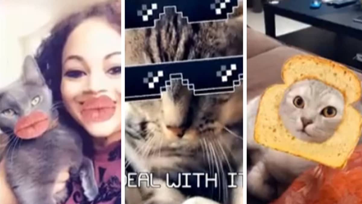 Snapchat Now Has Filters Especially For Your Pets - Tyla