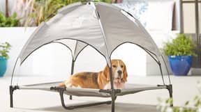 Aldi Is Selling Tiny 'Sunshade' Loungers For Dogs