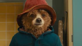 Paddington 2 Now Officially The Greatest Movie Of All Time