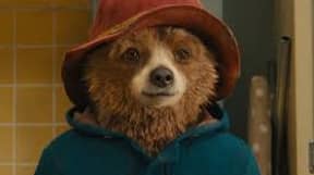 Paddington 3 Is Officially In The Works