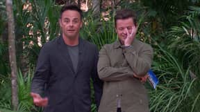 'I'm A Celeb' Fans Fuming At James and Ian For Snapping At Ant And Dec