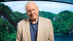 David Attenborough Is Teaching Kids Geography