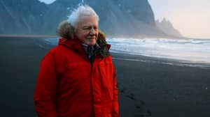 David Attenborough's 'Planet Earth: A Celebration' Featuring Dave Gets Release Date