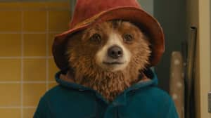 Here's Everything We Know About 'Paddington 3' Ahead Of Its Return