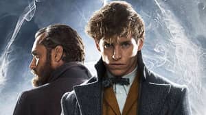 'Fantastic Beasts 3' Given 2021 Release Date