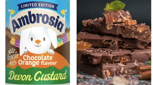 Ambrosia Launches Chocolate Orange Custard