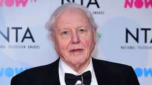David Attenborough Will Present 'Urgent' Documentary On Climate Change