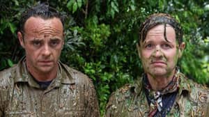 Ant And Dec Finally Face Bushtucker Trial