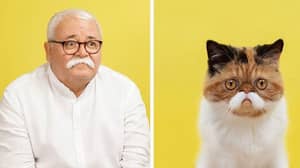 Photographer Hilariously Captures Cats And Their Human Doubles