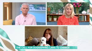 This Morning Guest Says Dognapping Should Be Treated As Seriously As Kidnapping By Law
