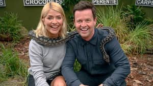 Holly Willoughby Confirms She Won't Return To 'I'm A Celebrity' Next Year