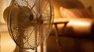 Your Fan Should Be Spinning Anticlockwise During The Summer