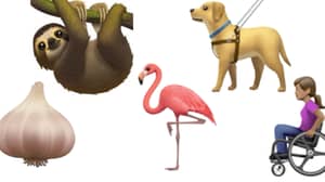 Apple Has Released New Emojis For World Emoji Day Including A Bulb Of Garlic And An Adorable Sloth