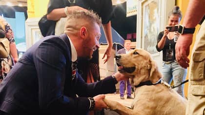 Tom Hardy Became Besties With The Security Dog At The Venom Premiere