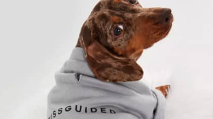 Missguided Has Launched Matching Dog And Owner Loungewear For Lockdown