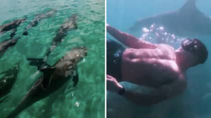 Down To Earth Season 2: Zac Efron And Brother Dylan Swim With Dolphins For Netflix Series
