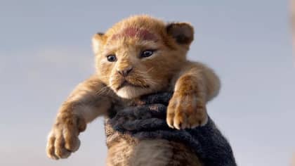 Disney Is Officially Making A Live-Action 'Lion King' Sequel