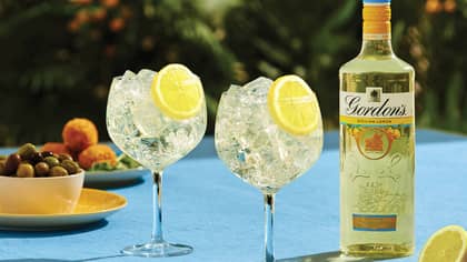 Gordon's Gin Has Launched Two Brand New Flavours
