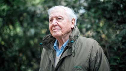 Sir David Attenborough To Present New BBC Nature Series ‘A Perfect Planet’ 