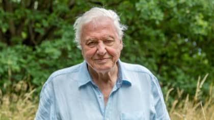 A Perfect Planet: Viewers Left Heartbroken After David Attenborough's Urgent Plea To Save The Planet