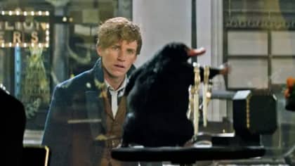 Fantastic Beasts Exhibition Opens At London's Natural History Museum