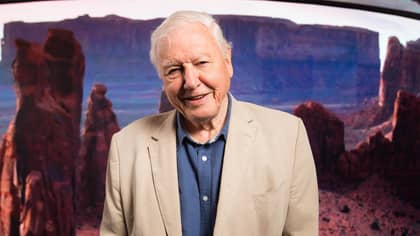David Attenborough Is Campaigning To Raise £12million To Save London Zoo