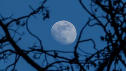 ​Rare 'Blue' Moon Will Light Up The Sky On Halloween