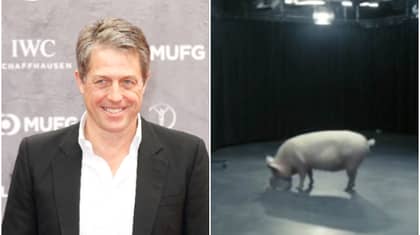 Hugh Grant Says He Almost Played The Pig Sex Prime Minister In Black Mirror