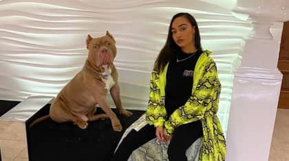 BBC Upsets Campaigners Over Scenes Of Little Mix's Leigh-Anne Pinnock's Dog With Cropped Ears