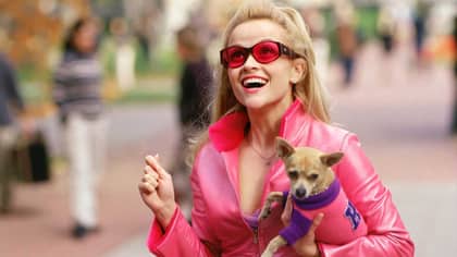  Reese Witherspoon And Mindy Kaling Join Forces For 'Legally Blonde 3'