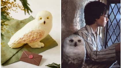 Marks And Spener Launches Chocolate Hedwig For Easter