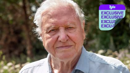 Sir David Attenborough Defends The Ethics Of Zoos And Aquariums: 'They're Justified' 