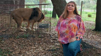 Carole Baskin Has Been Awarded Control Of Joe Exotic's Zoo
