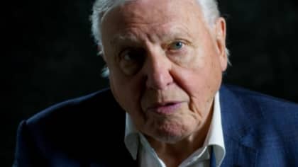 New David Attenborough Doc 'A Life On Our Planet' Is Coming To Netflix Next Month