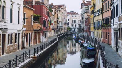Jellyfish Spotted In Venice's Crystal Clear Canals