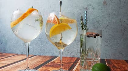 Aldi Has Launched A Delicious New Range Of Botanical Gins