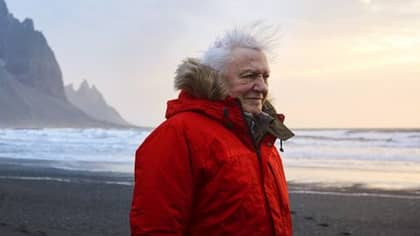 A Film Is Coming All About The Legend That Is David Attenborough
