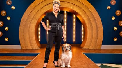 BBC Defends Dog Grooming Reality Show Pooch Perfect Following Backlash