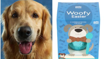 Pets At Home Is Selling Easter Eggs For Dogs