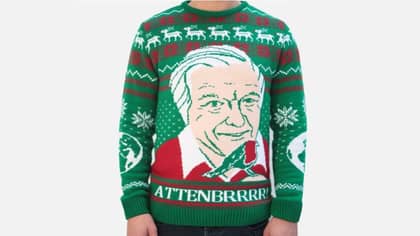 This David Attenborough Christmas Jumper Is Festive Clothing Perfection