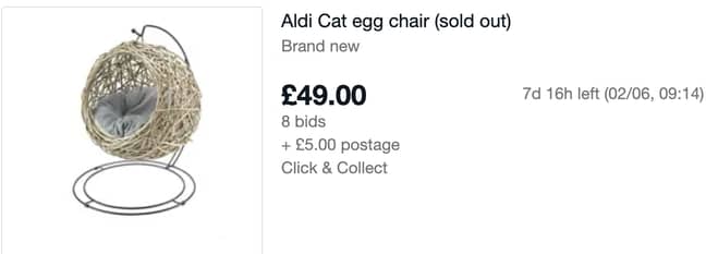 People are bidding on the cat-sized egg chair after it sold out on Aldi's website (Credit: eBay)