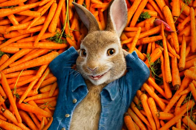 The 'Peter Rabbit' sequel has reportedly had its release date pushed back due to coronavirus (Credit: Sony)