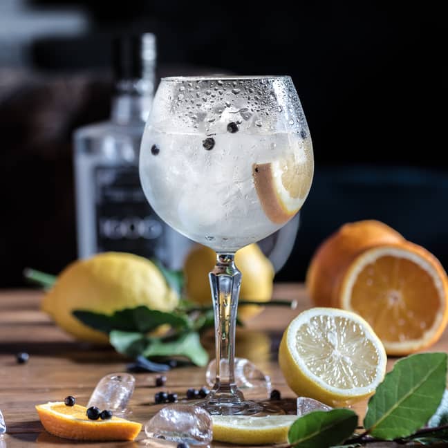 The gins are best served on ice (Credit: Unsplash)