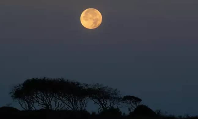 We usually have a harvest moon in September (Credit: PA)