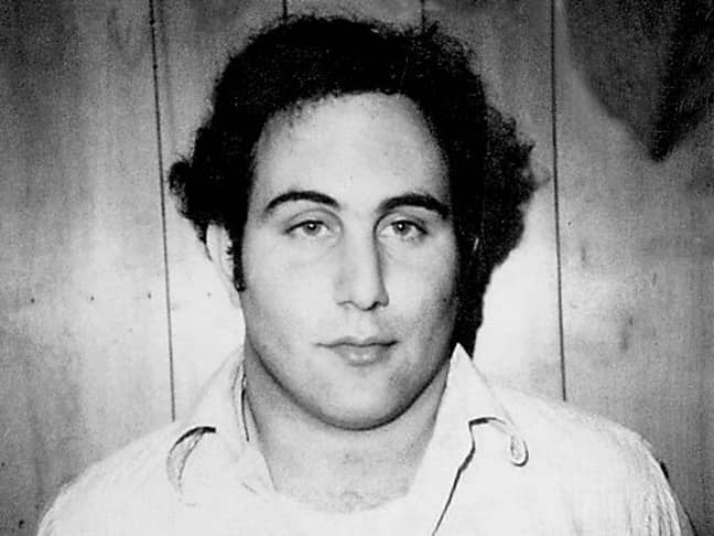 David Berkowitz is the self-proclaimed 'Son of Sam' ' Credit: Crime Museum