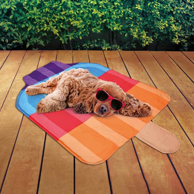 B&amp;M's cooling mats could help keep the dogs cool (Credit: B&amp;M)