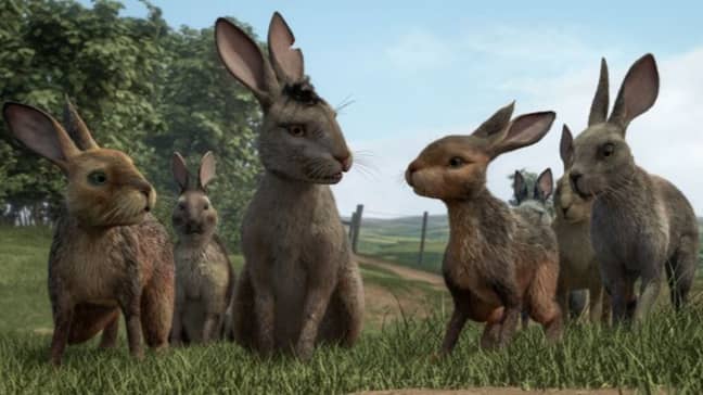 Viewers claimed that the rabbits looked more like hares. (Credit: BBC)