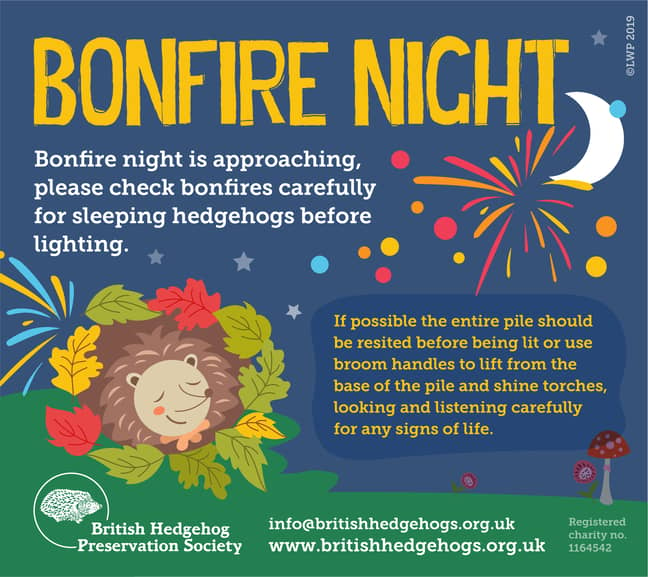 BHPS have shared on how to hedgehog-proof your fire this weekend (Credit: BHPS)