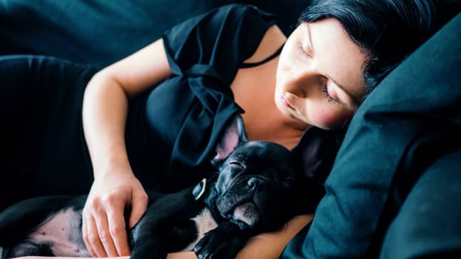 So, cosying up next to a canine will get you a better night's sleep than sleeping next to another human (Credit: Unsplash)